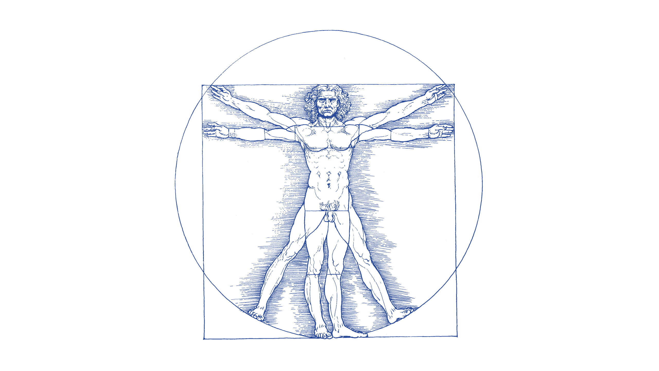 vitruvian